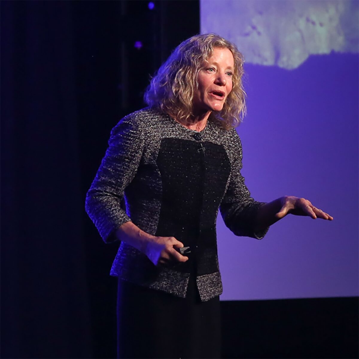 Stacy Allison WWSG Webpage Photo