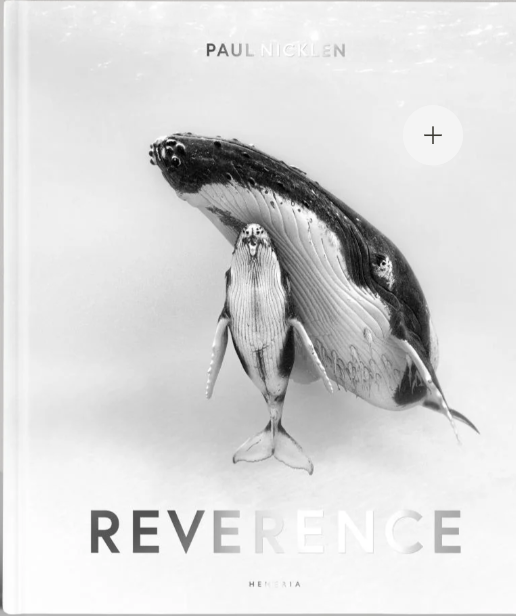 Book cover for Reverence by Paul Nicklen, showing a grayscale image of a large whale with a smaller figure beneath it.