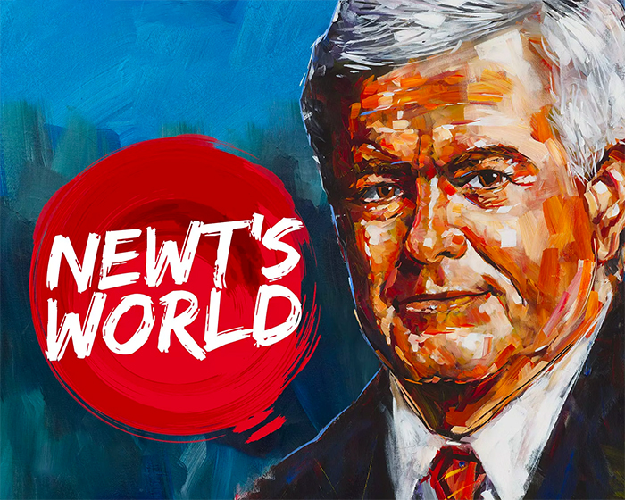 Newt Gingrich | Woke Warriors - Worldwide Speakers Group