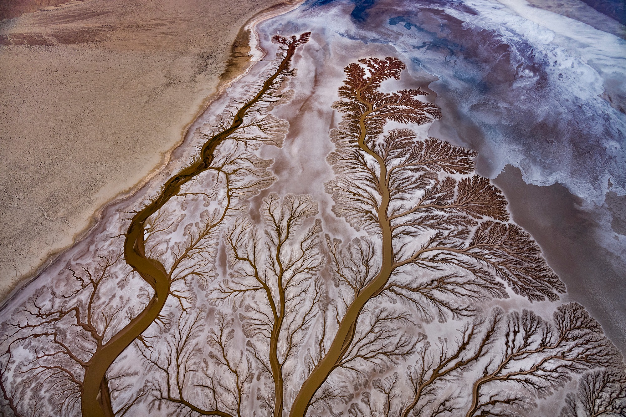 copyright Paul Nicklen Photography