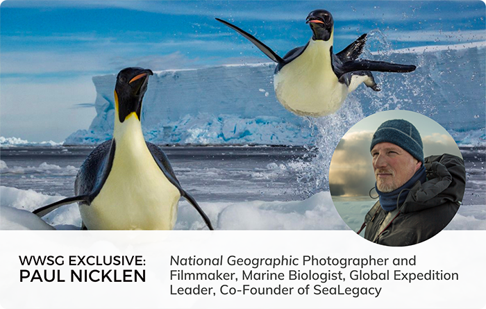 Paul Nicklen: National Geographic Photographer and Filmmaker, Marine Biologist, Global Expedition Leader, Co-Founder of SeaLegacy