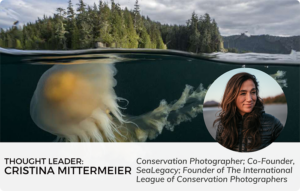 Jellyfish Swimming Near Islans June Is National Great Outdoors Month Public Speaker Cristina Mittermeier