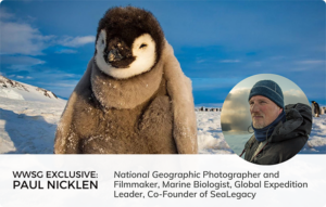 Penguin in Snowy Mountains June Is National Great Outdoors Month Public Speaker Paul Nicklen
