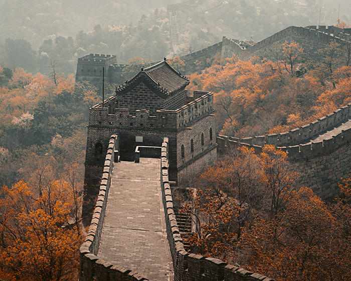 China | International Experts