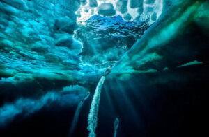 Paul Nicklen, “Propulsion”/Photo: Paul Nicklen