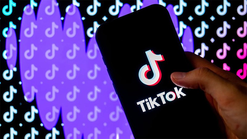 Sara Fischer TikTok Article