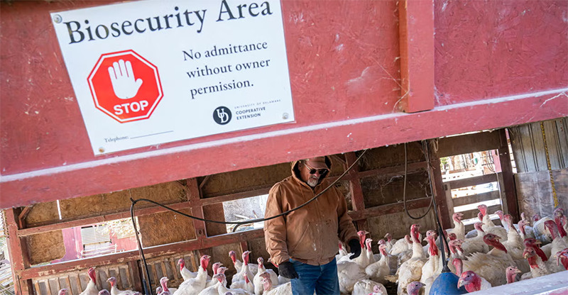 Robert Redfield Warns of Flu Outbreak (Nathan Howard:Getty Images)