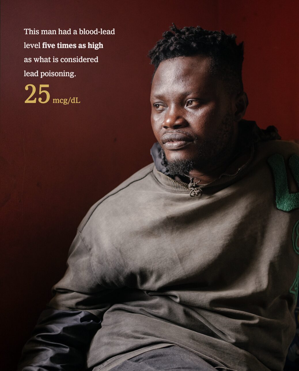 The New York Times Lead Poisoning Article by Peter Goodman - Example