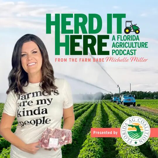 Herd is Here Podcast Graphic